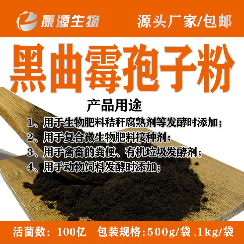 黑曲霉的黑色菌落培養物-圖_醫學教育網